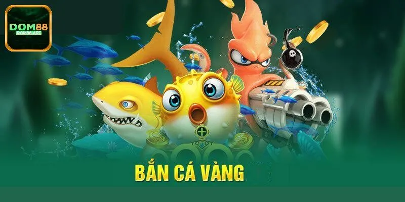 Tổng hợp hệ thống sinh vật biển